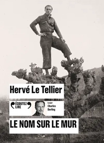 Le nom sur le mur Hervé Le Tellier